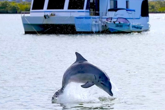 Wildlife Animals Tour