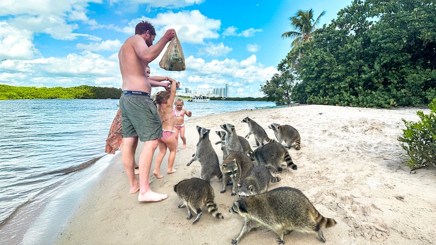 Raccoon Island